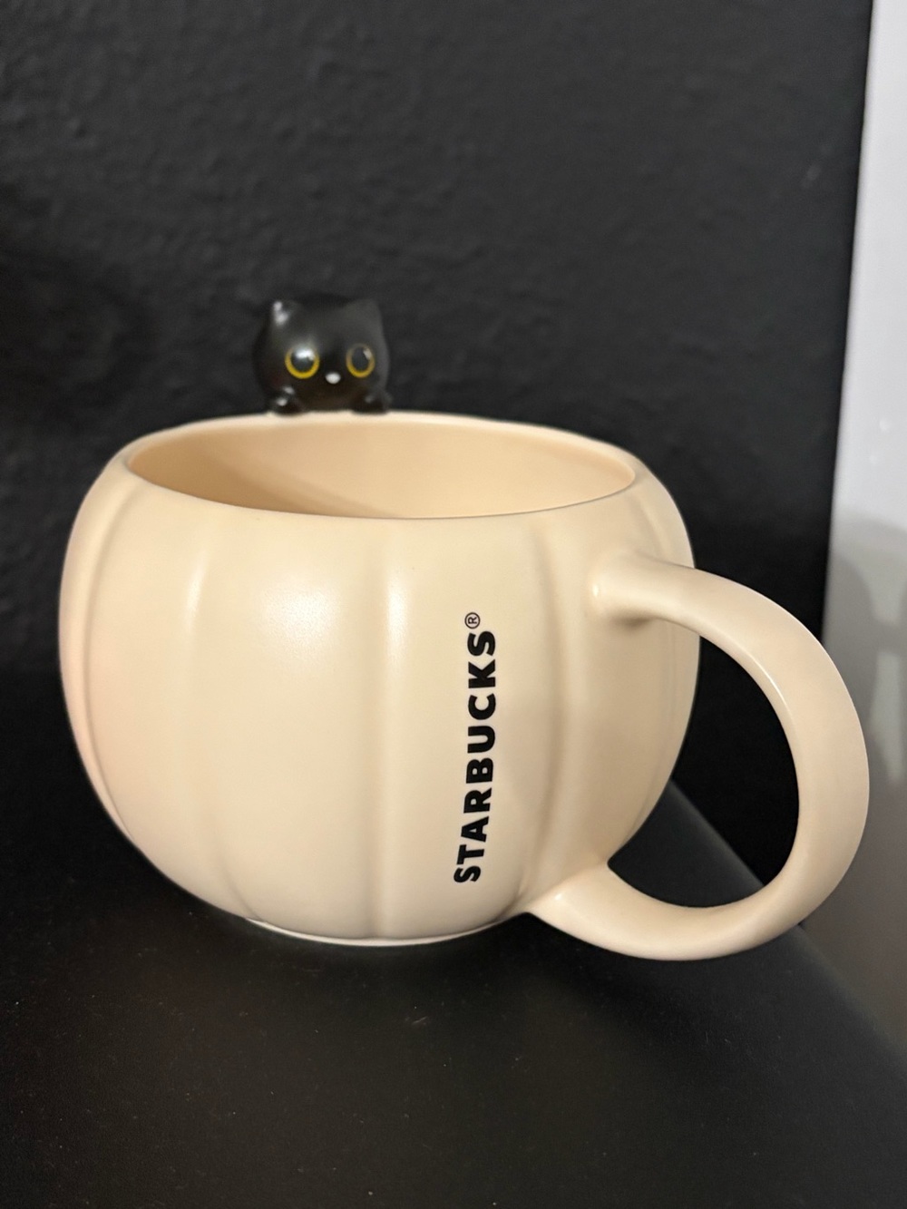 Starbucks 2026 Halloween Black Cat Pumpkin Ceramic Mug NWT